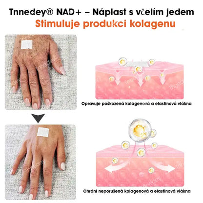 【Oficiálny autorizovaný obchod】Tnnedey® NAD+ Náplasť s včelím jedom – Maximálna obnova pokožky a zvýšenie energie (Posledný deň zľavy: 75%)